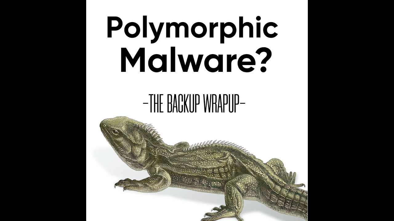 How Polymorphic Malware Evades Detection — And What to Do About It