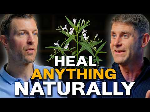 TOP Natural Remedies To Reverse Disease (Hashimoto's, Diabetes, Fatty Liver, Low Testosterone)