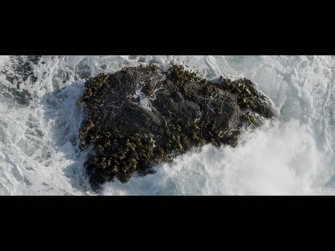 Kerretta - Oceania (Official Music Video)