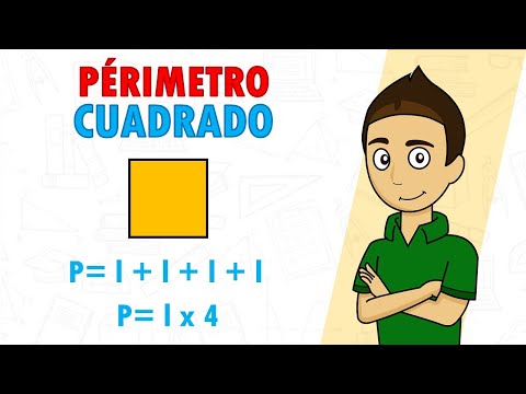 PERIMETER OF THE SQUARE Super easy - For beginners