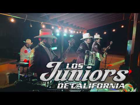 Los Juniors De California Disco En Vivo 2022