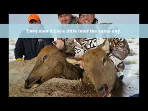 2016 Wood River Ranch Meeteetse Wyoming Late Season Cow Elk Hunt