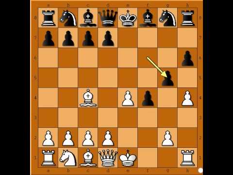 Kako je napadao GRECO vs NN - Kraljev gambit # 593