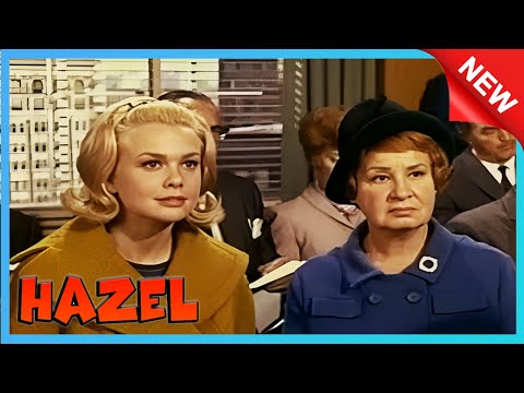 Campaign Manager | Hazel 2026 | The Best American Comedy TV Series | Full Episodes3e25