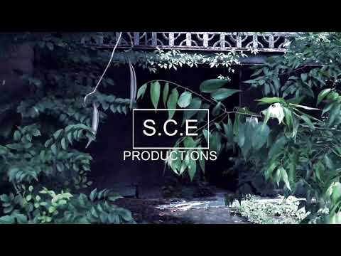 HunnDunn - Gorilla (Official Video)