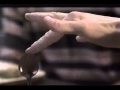 Siskel Ebert Fair Game Home For The Holidays Powder 1995