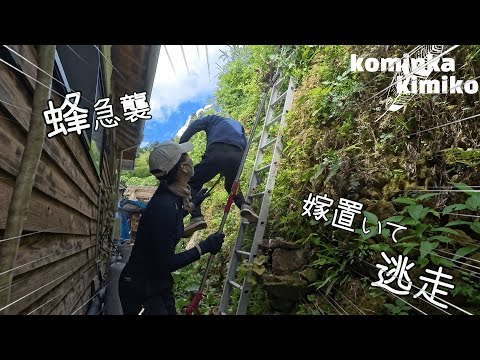 【古民家に住もう#266】真夏の草刈りで顔を蜂に刺されました。