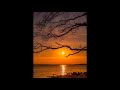 O SOL NASCERÁ (A SORRIR) - NARA LEÃO