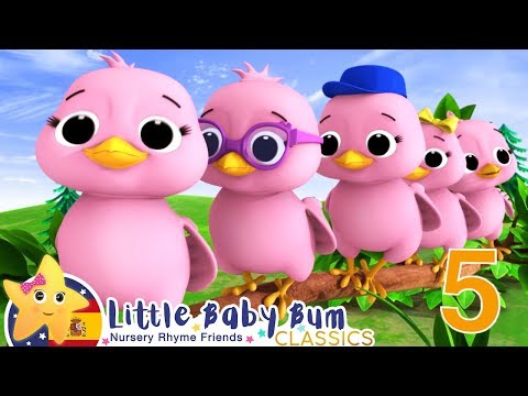 Canciones Infantiles | Cinco Pajaritos | Dibujos Animados | Little Baby Bum en Español