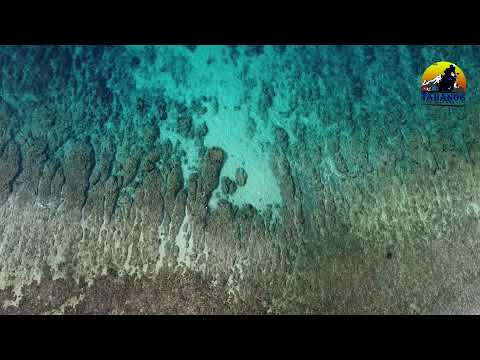 Crystal Clear Beach of Banzali Babak Resort of Governor Generoso, Davao Oriental