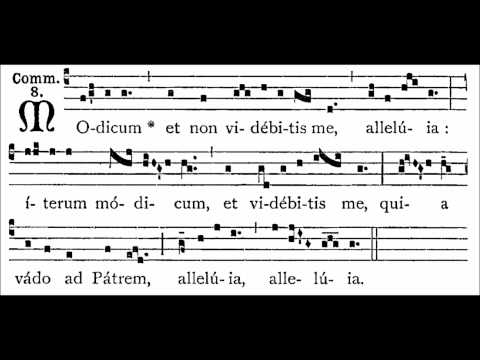 Communio Modicum gezongen door Schola Catharina (Utrecht)