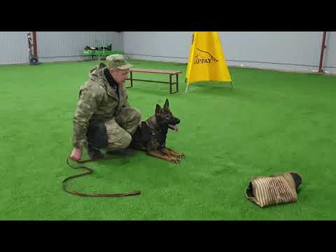 Love & Spirit Flaviana. 10 months old. Protection.