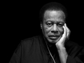 'Iris' (Wayne Shorter) - Live at MCC (Malta)
