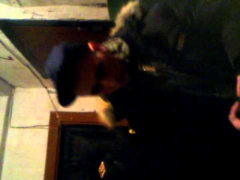 Кажэ настоящий он да кэй сити блак!!!