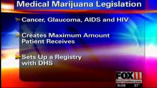 Selthofner Interviewed by WLUK Fox 11 News about the Jacki Rickert Medical Marijuana Act.