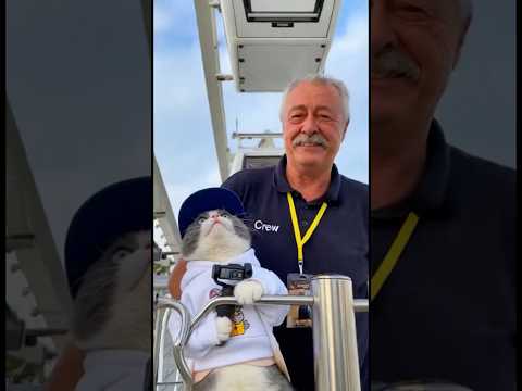 "Wheel of Vision" Düsseldorf 2025🎡Ferris wheel at Burgplatz is being built - Leo on the Ferris wh...