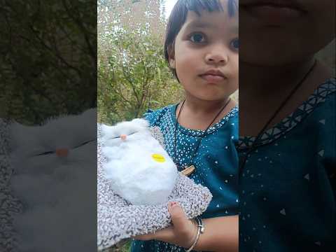 little cat #cute 🥰🥺🥺🥺