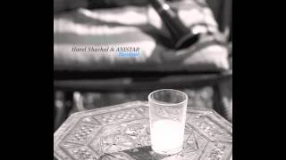Harel Shachal &amp; ANISTAR "Lullaby for Gaia"