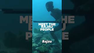 Download lagu Can dive under 60 meters without equipment, the Bajau tribe mp3