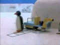 Pingu Parking No Penguin Children