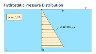 Hydrostatic Pressure Distribution