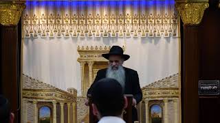 הרב מאיר דוד שמואלי שליט"א - שידור חי יום ד - פרשת אחרי - קדושים תשפ"ו