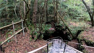 おかんと二人旅　Part146　富岳風穴