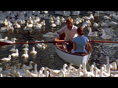 Lana Del Rey- Let The Light In