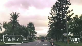 NASAKI犬日常|雨停散步啦~