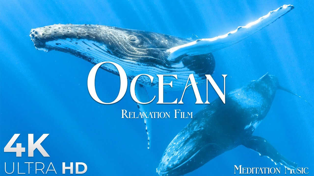 The Ocean (4K UltraHD)- Relaxation Film - Peaceful Relaxing Music - 4k Video UltraHD