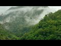 Tu Chale Bollywood Song Forest Nature View