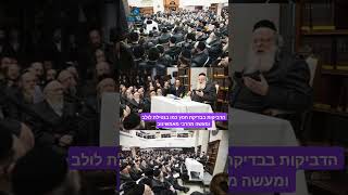 הדביקות בבדיקת חמץ כמו בנטילת לולב ושאר מצוות. קטע מתוך שיעור בפסח