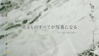 燃える冷蔵庫、カブトムシと赤い傘