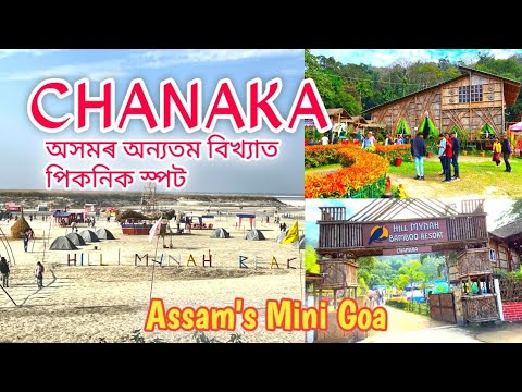 Chanaka Picnic Spot l Beautiful Picnic Place in Assam l Mayong, Morigaon #chanaka #assamtourism