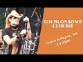 Gin Blossoms - Allison Road 