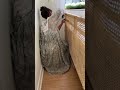 Get Inspired DIY Bed Headboard Home Decor Ideas