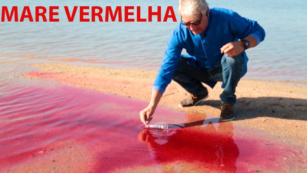 A maré vermelha - Desequilíbrio Ecológico - Hiper população das Dinoflageladas