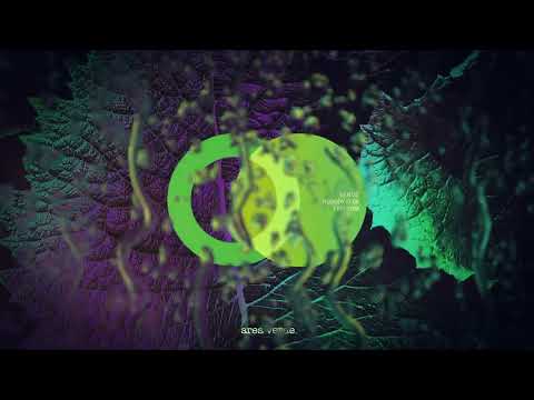 Nobody Else, VANTIZ - Feedback (Original Mix) // Area Verde