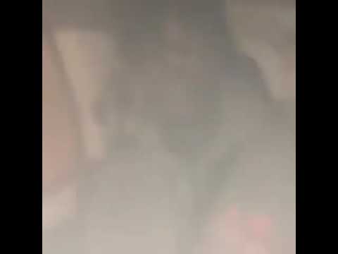 TRK (D3 GVNG) - Freestyle