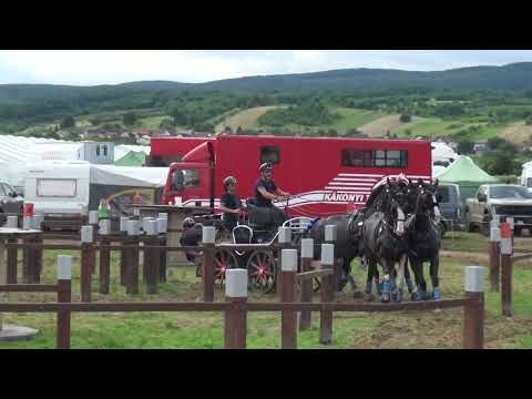 Luca CASSOTTANA (ITA) - CAI***, H4, Pleternica (Croatia), marathon, obstacle Nr. 7, 24.06.2023
