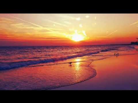 BERHENTI UNTUK MENCINTAI - Andre Xola x Ando Blebh ( Official video lyric )