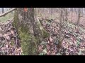 Paintball Woodsball GoPro POV