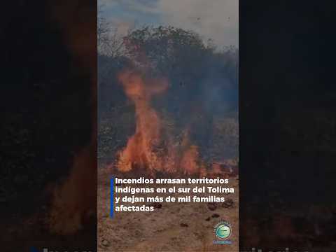 Incendios arrasan territorios indígenas en el sur del Tolima y dejan más de mil familias afectadas