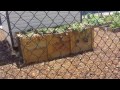 Community Garden At Wickham Park Brevard County Florida
