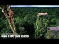Suku Korowai Tinggal Di Rumah Pohon Tertinggi Mencapai 50 Meter Di Papua Indonesia