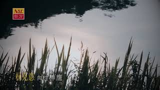 MARCUS YONG 杨克意 - XIANG WANG SHEN YING (KARAOKE) MUSIK MANDARIN CHANNEL