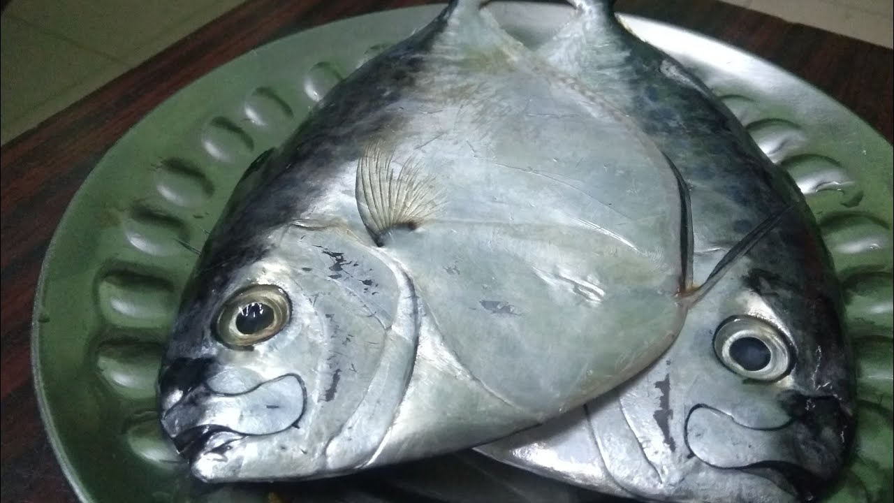 Silver belly fish | Recipe|