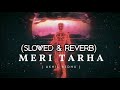 Meri Tarah - (Slowed & Reverb) Akhil Redhu (use earphones)