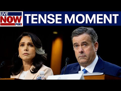 Video | Signal chat update: Gabbard, Ratcliffe respond to Sen. Kelly's questions  | LiveNOW from FOX