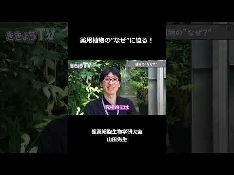 薬用植物の“なぜ”に迫る…どうして特殊な化合物を作らないといけないの？